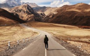 What do You Recommend us to do in Life?