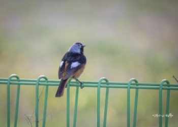 I Can’t Find Inner Peace