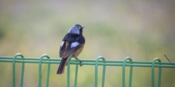 I Can’t Find Inner Peace