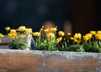 How do I Keep a Positive Mind Towards Future?