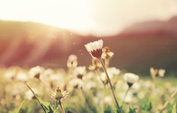 I Recovered from Sickness. What’s my Next Step?