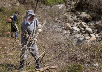 I sewed my pants several times, and there was a hole again. (Mar 31, 2021)