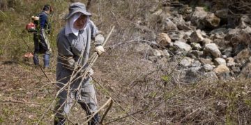 I sewed my pants several times, and there was a hole again. (Mar 31, 2021)