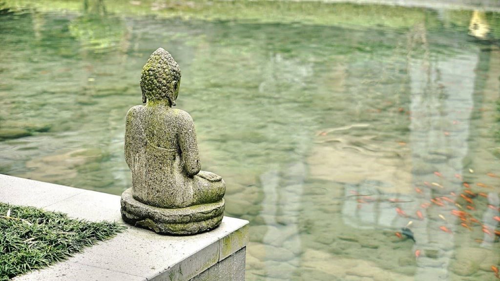 Buddha statue near pond