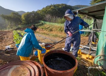 I Get Irritated And Angry When My Child Doesn’t Go To Bed Early (Oct 19, 2021)