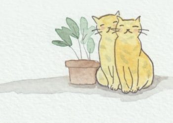 Fix Your desire to Fix Others