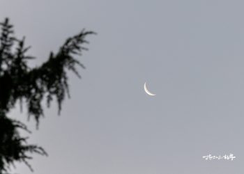 What’s The Difference Between Like And Love?