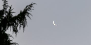 What’s The Difference Between Like And Love?