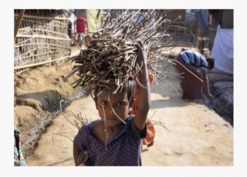 For a Green Rohingya Refugee Camp