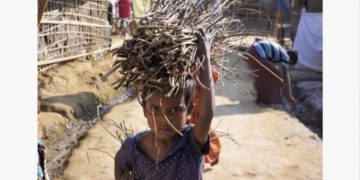 For a Green Rohingya Refugee Camp