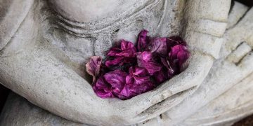 What is the Purpose of Meditation?