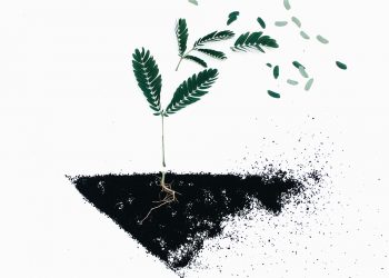 How has meditation impacted your life?