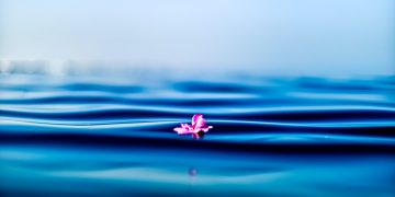 What does mindfulness mean in meditation?