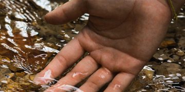 Do the function senses pause during meditation?