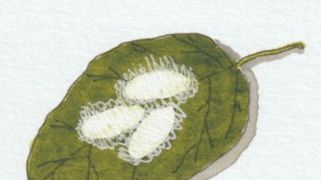 Stuck in Your Thoughts