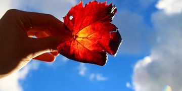 [Meditation Q&A] Is it possible to erase or lessen our karma in this lifetime?