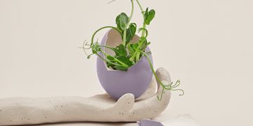 Everything That Has Already Happened Is Always For The Best