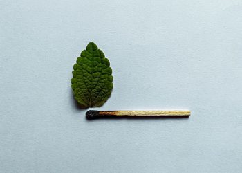 Life And Death Are Nothing More Than Change In Form