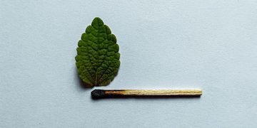 Life And Death Are Nothing More Than Change In Form