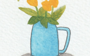 Reality and Illusion