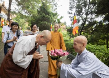 Suffering Arises from Disliking