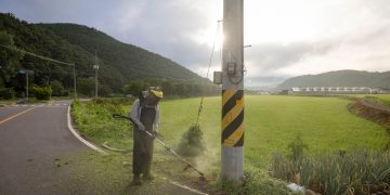 I Wanted to Become a Priest, but Now That It’s Not Possible, I Feel Lost