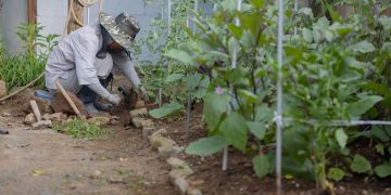 Even Good Things Become Painful When Done with Greed