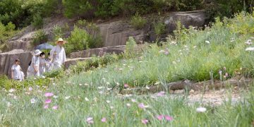 How Was Sunim Able to Maintain Unwavering Dedication Throughout His Life?