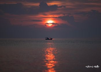 What Should We Do After the June 13 Mass Dharma Assembly?