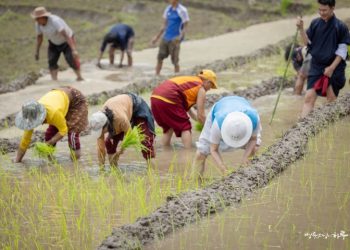 Let’s Make Sure There’s Not a Single Person Suffering