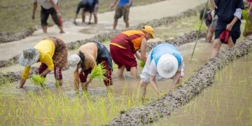 Let’s Make Sure There’s Not a Single Person Suffering