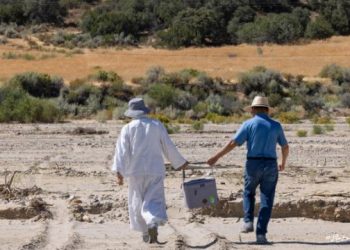 I’ve Already Divorced in My Heart, but I’m Worried About My Child