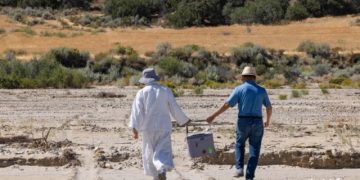 I’ve Already Divorced in My Heart, but I’m Worried About My Child