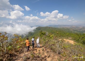 Planting Water, We Plant Water