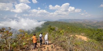 Planting Water, We Plant Water