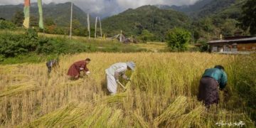 Even When I Travel for a Few Days, Not a Single Friend Sends Me a Message