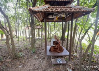 What are the practice methods of Seon Buddhism?