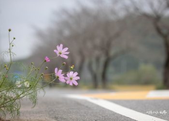 It’s Difficult to Control Emotions That Arise Moment by Moment