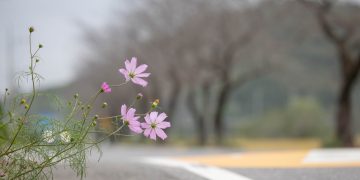 It’s Difficult to Control Emotions That Arise Moment by Moment