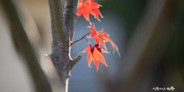 My Wife Is Meeting a Man at the Gym