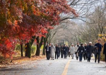 Treating Everyone as Heaven: The Spirit of Equality and Democracy in Donghak