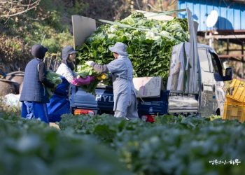 I’m Struggling with Workplace Bullying. How Can I Overcome This?