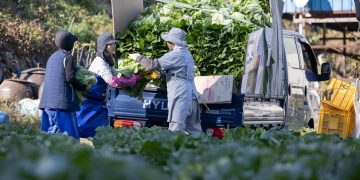 I’m Struggling with Workplace Bullying. How Can I Overcome This?