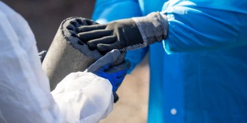 It’s Hard to See My Child Neglecting Studies and Getting Addicted to Their Smartphone