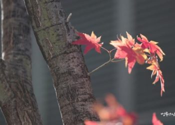 I Wonder If I’m a Useful Person