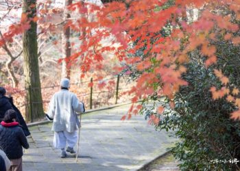 My father wants us to have a third child, but my wife doesn’t want to. What should I do?