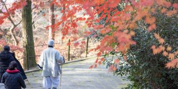 My father wants us to have a third child, but my wife doesn’t want to. What should I do?