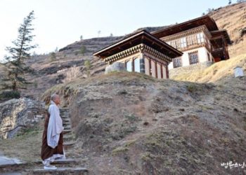 What is enlightenment, neither following nor suppressing desires?