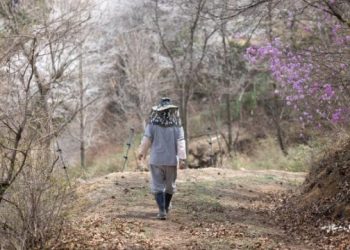 I Always Feel Uneasy After Making a Choice. How Can I Overcome Decision Paralysis?