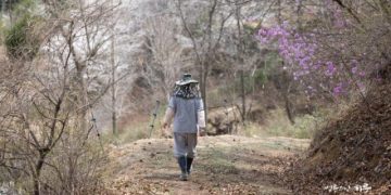 I Always Feel Uneasy After Making a Choice. How Can I Overcome Decision Paralysis?